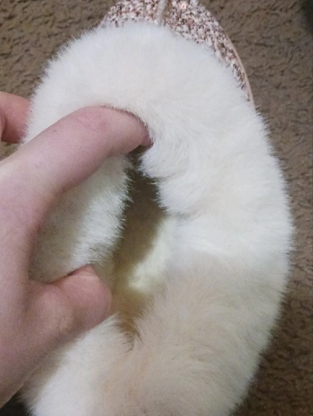 Sparkling Pink Sequin Fur-Lined Shoes